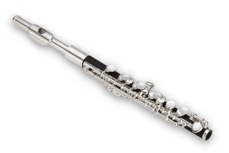 Piccolo: A Guide to the High-Pitched Woodwind Instrument