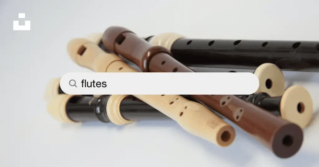Are Flute and Recorder Notes the Same