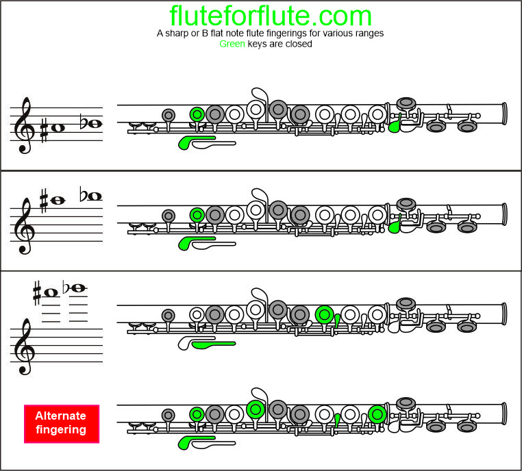 a sharp on flute