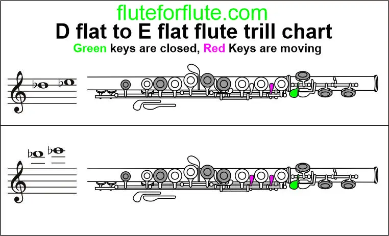 d flat to e flat trill flute