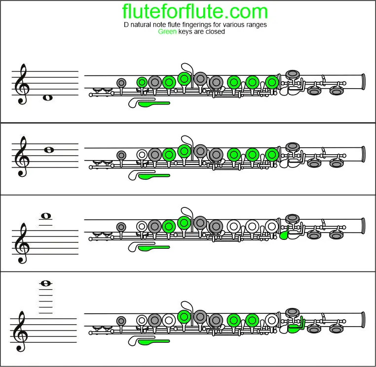 How to play D on the flute: fingering chart, trill and finger placement