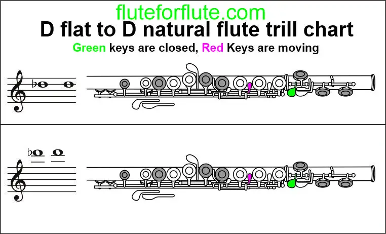 D flat to d natural flute trill chart
