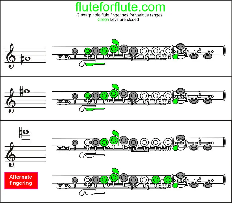 How to play G sharp on the flute: Fingering and trill chart for low and high octaves