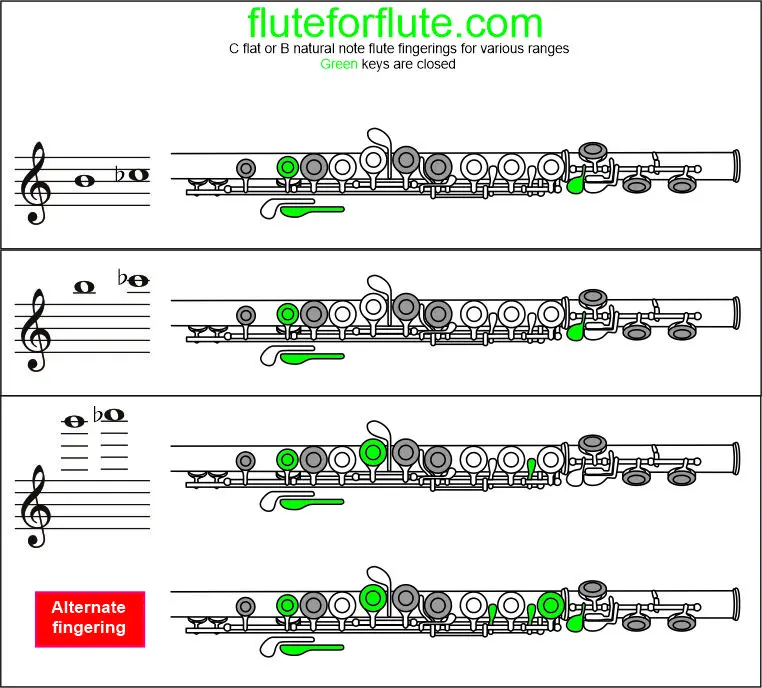 How To Play C Flat Note On the Flute: Fingering and trill chart for low and high octaves