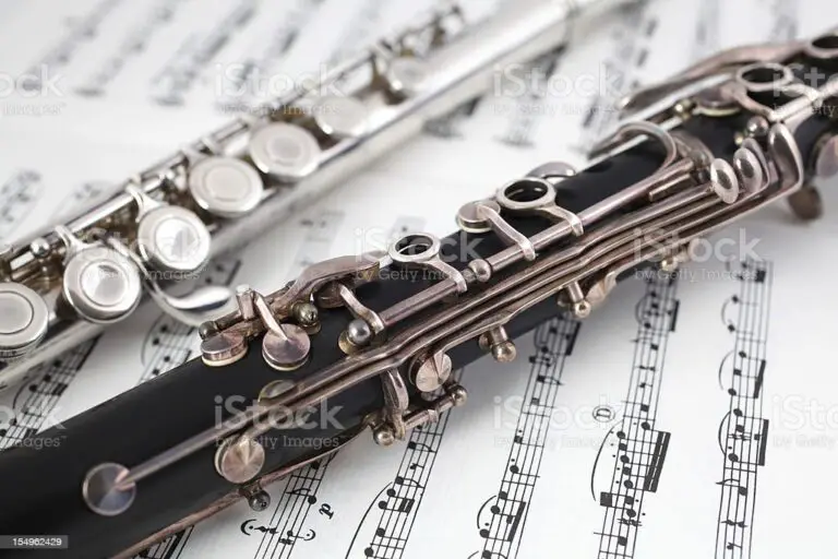 Clarinet or Flute for Beginner: Which Instrument is Right for You?
