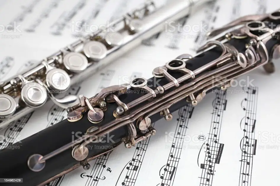 clarinet or flute for beginner