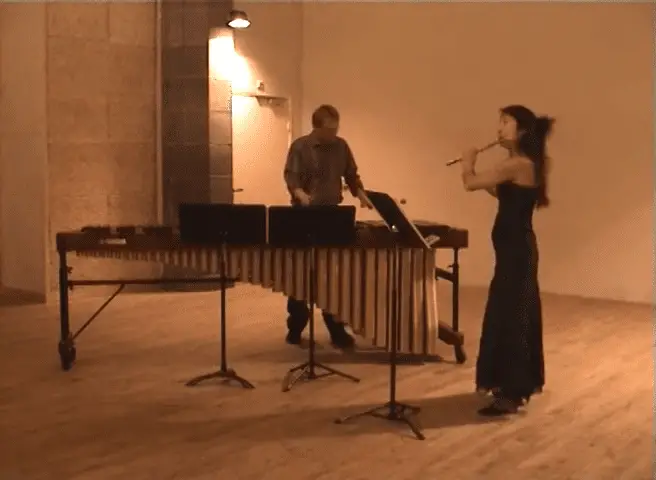 Flute and marimba repertoire