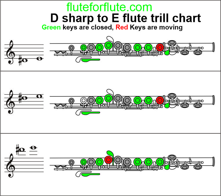 D sharp to E trill on flute