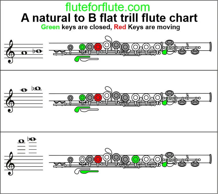 A to B flat trill on flute: Low and High trill fingering