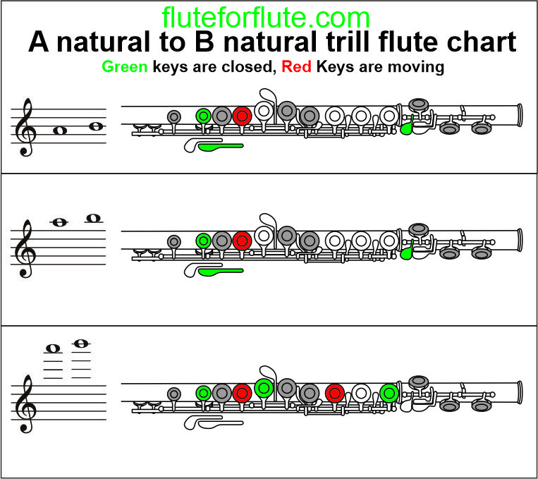 A to B trill on flute: Low and High trill fingering