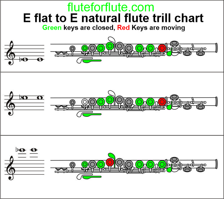 E flat to E trill flute