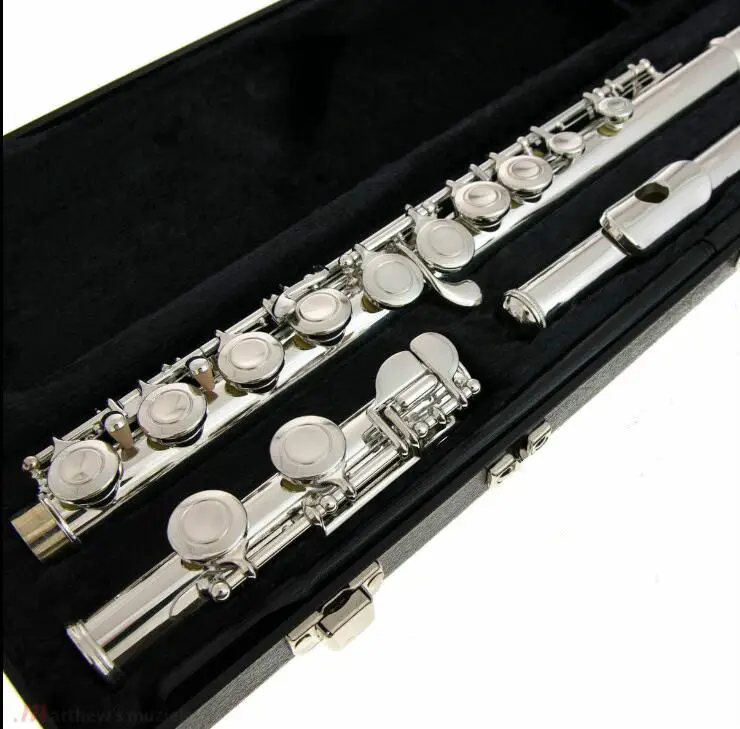 Price of flute in Denmark, how much does it cost?