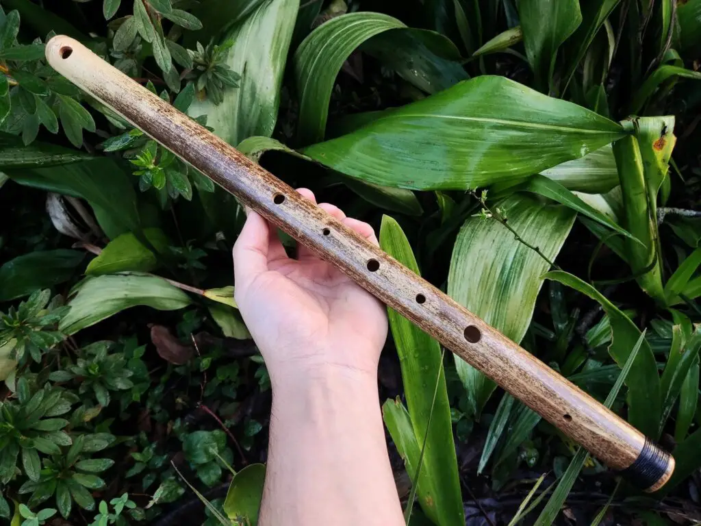 Middle eastern bamboo flute