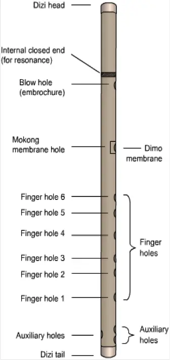 Parts and function of bamboo flute